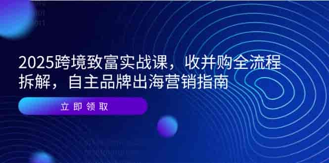 （14975期）2025跨境致富实战课，收并购全流程拆解，自主品牌出海营销指南-有道网创