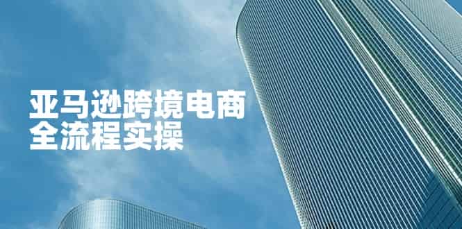 （14252期）亚马逊跨境电商全流程实操，教你从零开始，掌握店铺运营与广告技巧-有道网创