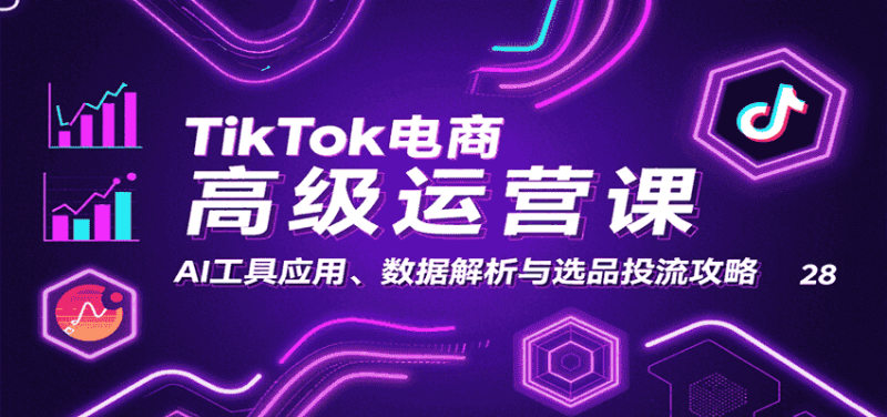 TikTok电商高级运营课：AI工具应用、数据解析与选品投流攻略-有道网创