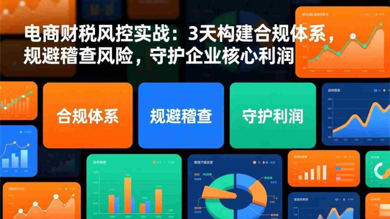 （17197期）电商财税风控实战：3天构建合规体系，规避稽查风险，守护企业核心利润-有道网创