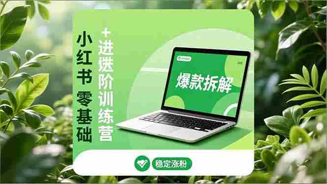 （16801期）小红书零基础+高阶训练营：安全养号、爆款拆解、长效运营，实现稳定涨粉与变现-有道网创