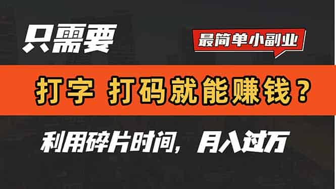 （14673期）只需要打字，打码，就能赚钱？简单的赚钱小副业，利用碎片时间，月入过万-有道网创