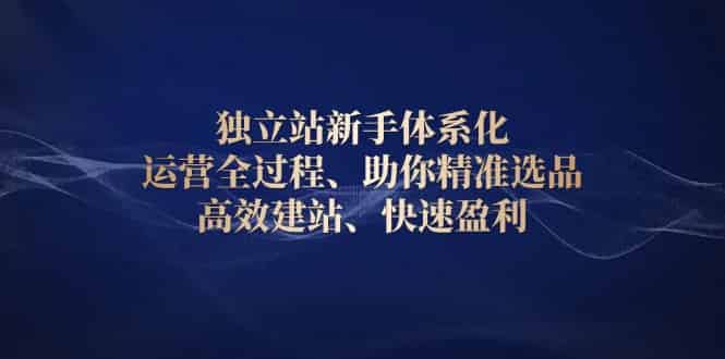 (13914期)独立站新手体系化 运营全过程,助你精准选品、高效建站、快速盈利-有道网创