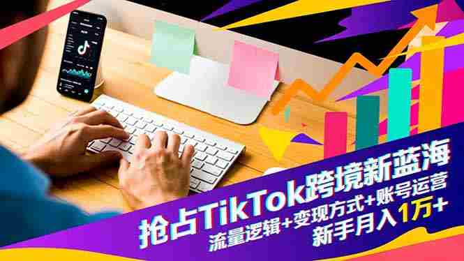 （16640期）抢占TikTok跨境新蓝海：流量逻辑+变现方式+账号运营，新手月入1万+-有道网创