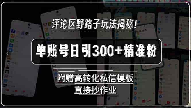 （15466期）评论区野路子玩法揭秘！单账号日引300+精准粉，附赠高转化私信模板，直…-有道网创