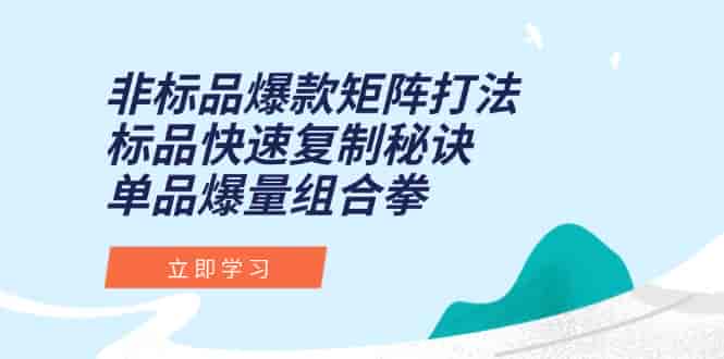 （15068期）非标品爆款矩阵打法，标品快速复制秘诀，单品爆量组合拳-有道网创