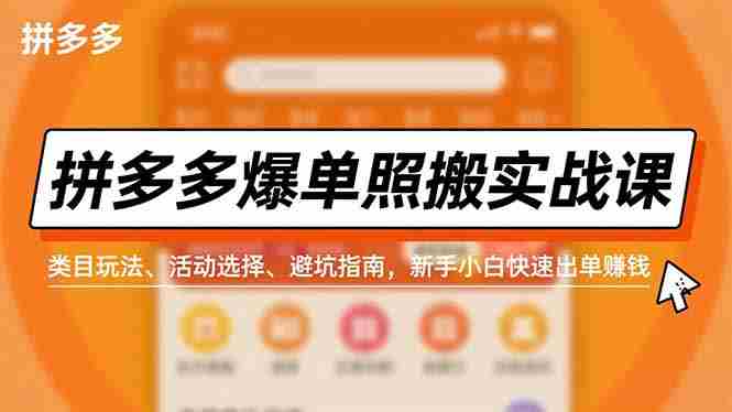 （16838期）拼多多爆单照搬实战课，类目玩法、活动选择、避坑指南，新手小白快速出单赚钱-有道网创
