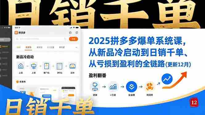 (16894期)2025拼多多爆单系统课,从新品冷启动到日销千单、从亏损到盈利的全链路(更新12月)-有道网创