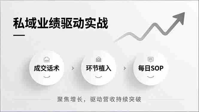 （16988期）私域业绩驱动实战，成交话术、环节植入、每日SOP，聚焦增长，驱动营收持续突破-有道网创