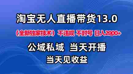 淘宝无人直播13.0，公域私域技术，不封号，不违规布局下半年旺季赛道，日入1K+（独家技术）【揭秘】-有道网创