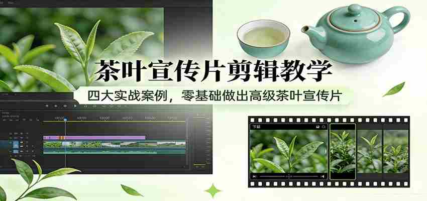 茶叶宣传片剪辑教学：四大实战案例，零基础做出高级茶叶宣传片-有道网创