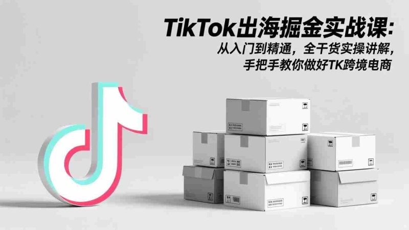 （17368期）TikTok出海掘金实战课：从入门到精通，全干货实操讲解，手把手教你做好TK跨境电商-有道网创