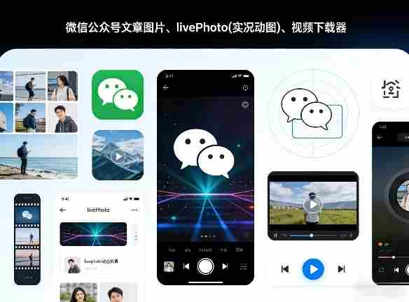 微信公众号文章图片、livePhoto(实况动图)、视频下载器-有道网创