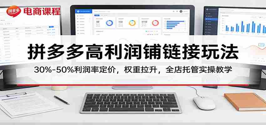 拼多多高利润铺链接玩法：30%–50%利润率定价，权重拉升，全店托管实操教学-有道网创