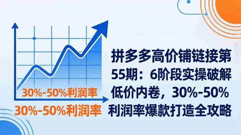 （17698期）拼多多高价铺链接第55期：6阶段实操破解低价内卷，30%-50%利润率爆款打造全攻略-有道网创