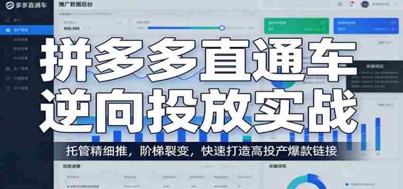 拼多多直通车逆向投放实战：托管精细推，阶梯裂变，快速打造高投产爆款链接-有道网创