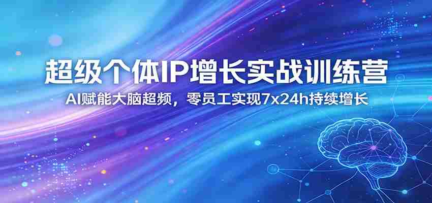 超级个体IP增长实战训练营：AI赋能大脑超频，零员工实现7x24h持续增长（更新）-有道网创