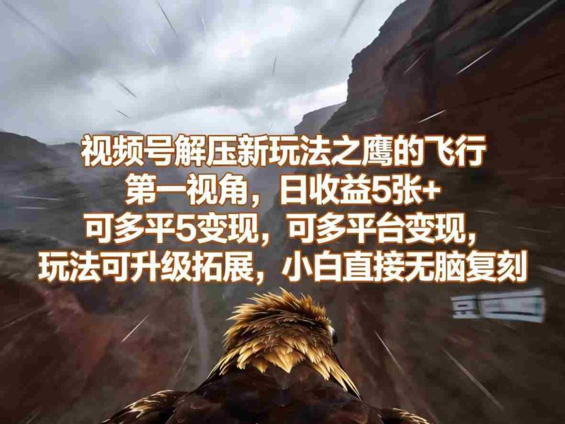 视频号解压新玩法之鹰的飞行第一视角,日收益5张+,可多平台变现,玩法可升级拓展,小白直接无脑复刻-有道网创