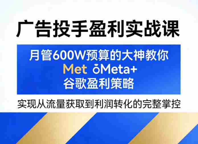 广告投手盈利实战课，月管600W预算的大神教你Meta+谷歌盈利策略，实现从流量获取到利润转化的完整掌控-有道网创