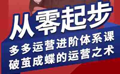 拼多多运营进阶系统课，从零起步，多多运营进阶体系课，破茧成蝶的运营之术（更新26年4月）-有道网创