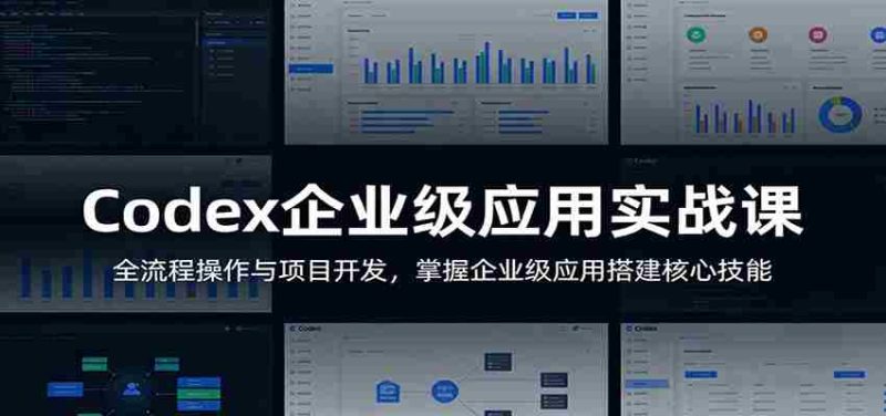 Codex企业级应用实战课：全流程操作与项目开发，掌握企业级应用搭建核心技能-有道网创