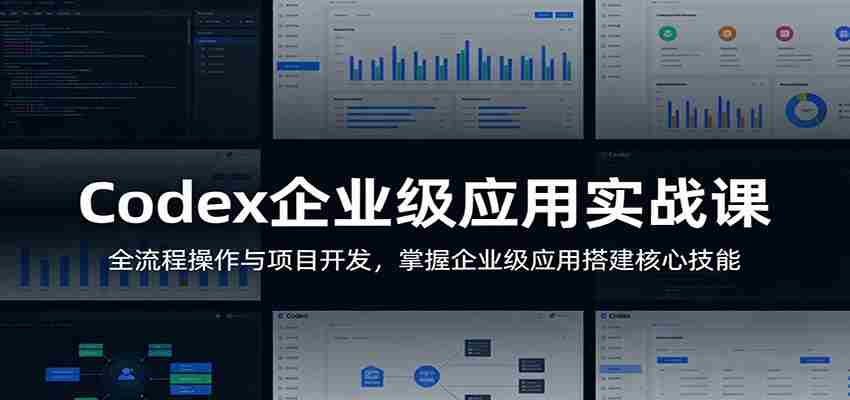 Codex企业级应用实战课：全流程操作与项目开发，掌握企业级应用搭建核心技能-有道网创