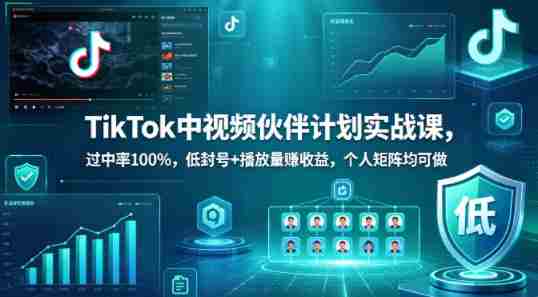 TikTok中视频伙伴计划实战课，过中率100%，低封号+播放量賺收益，个人矩阵均可做-有道网创