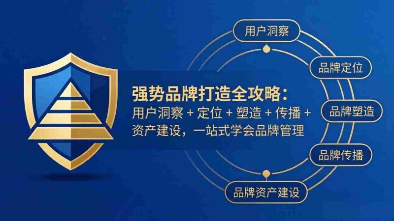 （17889期）强势品牌打造全攻略：用户洞察 + 定位 + 塑造 + 传播 + 资产建设，一站式学会品牌管理-有道网创