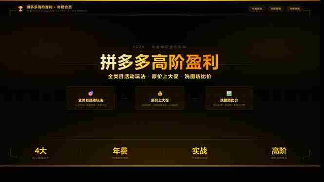 （17848期）拼多多高阶盈利年费会员(更新3月31)：全类目活动玩法、原价上大促、洗图防比价等核心盈利技术-有道网创