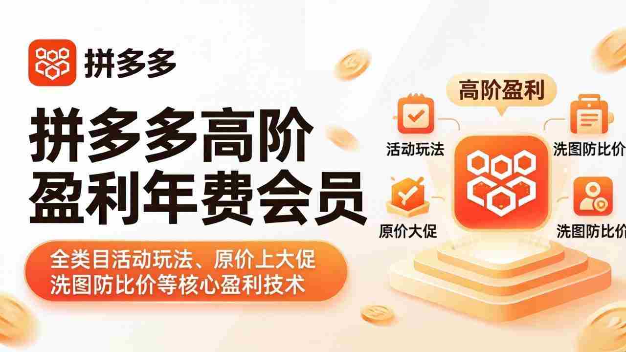 （18063期）拼多多高阶盈利年费会员(更新4月15)：全类目活动玩法、原价上大促、洗图防比价等核心盈利技术-有道网创