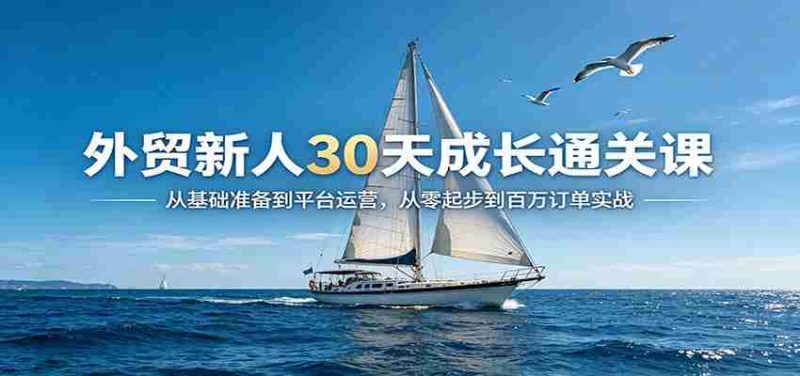外贸新人30天成长通关课：从基础准备到平台运营，从零起步到百万订单实战-有道网创
