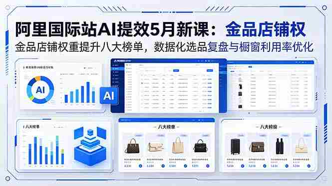 （18556期）阿里国际站AI提效5月新课：金品店铺权重提升八大榜单，数据化选品复盘与橱窗利用率优化-有道网创