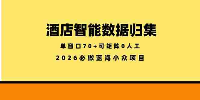 (18500期)酒店智能数据归集,小众蓝海已经稳定半年之久,单窗口70+零成本矩阵开干-有道网创
