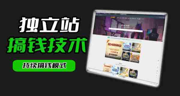 干货来袭!麦子甜带你吃透独立站|从搭建到引流一站式教学《独立站》第一期-有道网创