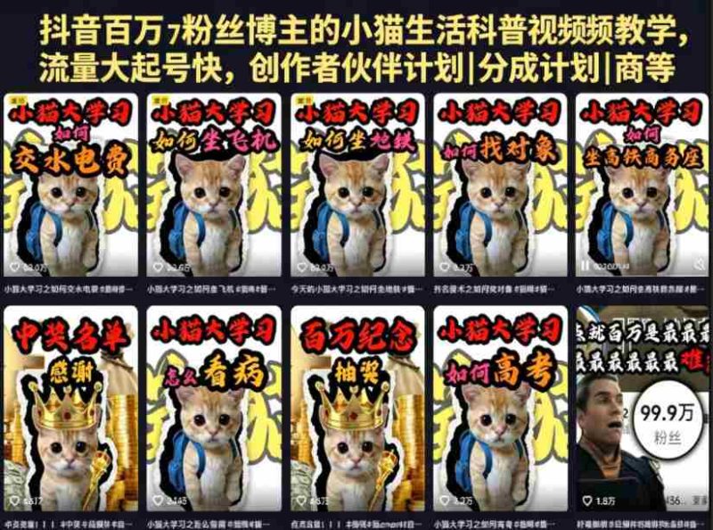 抖音百万粉丝博主的小猫生活科普视频教学，流量大起号快，创作者伙伴计划|分成计划|商单|收徒等-有道网创