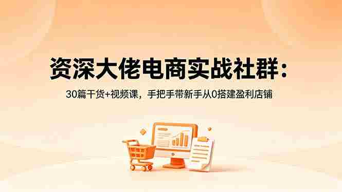 （18529期）资深大佬电商实战社群：30篇干货+视频课，手把手带新手从0搭建盈利店铺-有道网创