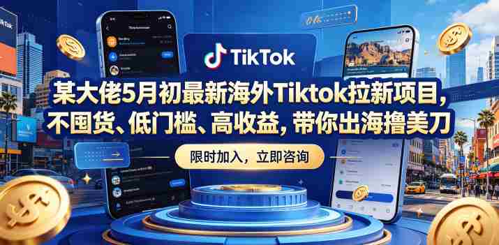 某大佬5月初最新海外Tiktok拉新项目，不囤货、低门槛、高收益，带你出海撸美刀-有道网创