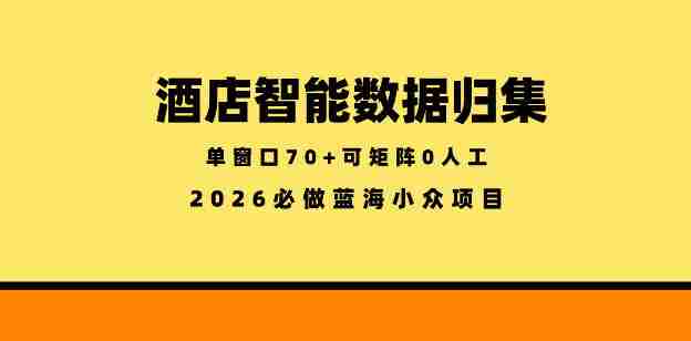 酒店智能数据归集,小众蓝海已经稳定半年之久,单窗口70+零成本矩阵开干【揭秘】-有道网创