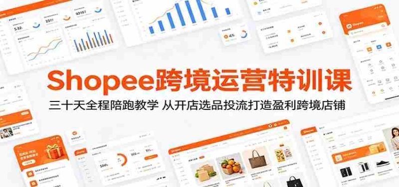Shopee跨境运营特训课：三十天全程陪跑教学，从开店选品投流打造盈利跨境店铺-有道网创
