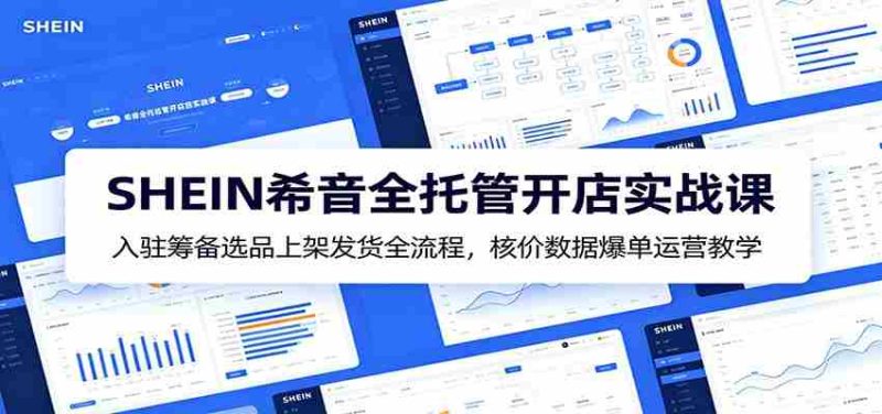 SHEIN希音全托管开店实战课:入驻筹备选品上架发货全流程,核价数据爆单运营教学-有道网创