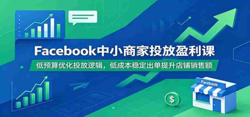 Facebook中小商家投放盈利课:低预算优化投放逻辑,低成本稳定出单提升店铺销售额-有道网创