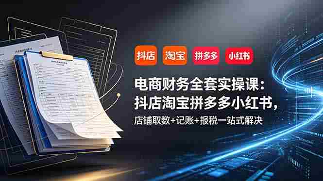 (19001期)电商财务全套实操课:抖店淘宝拼多多小红书,店铺取数+记账+报税一站式解决-有道网创