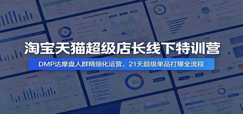 淘宝天猫超级店长线下特训营：DMP达摩盘人群精细化运营，21天超级单品打爆全流程-有道网创