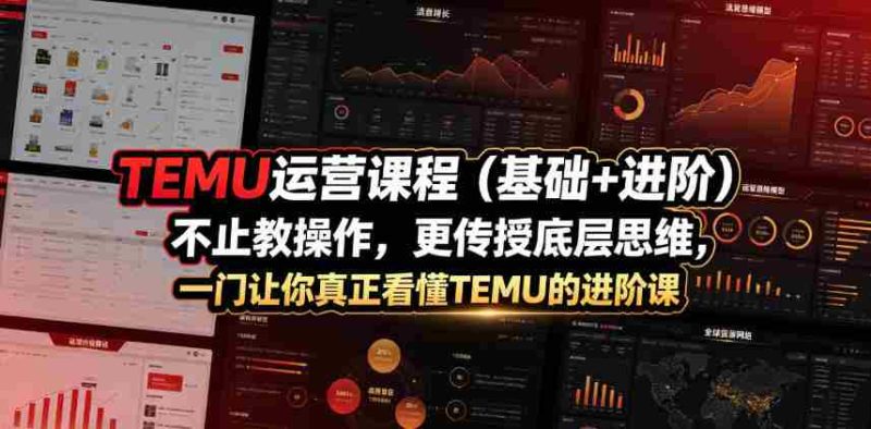 TEMU运营课程(基础+进阶),不止教操作,更传授底层思维,一门让你真正看懂TEMU的进阶课-有道网创