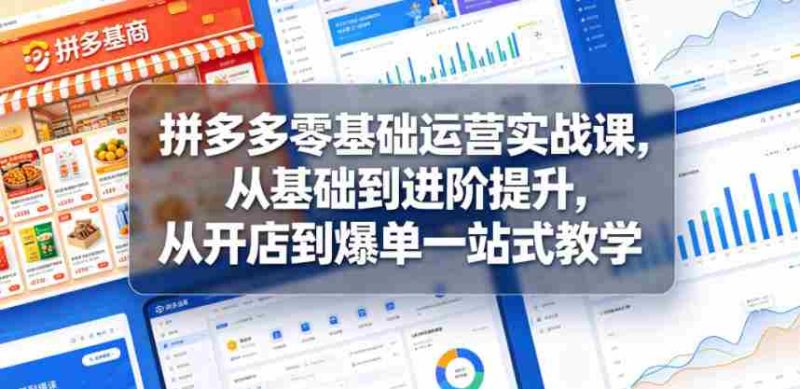 拼多多零基础运营实战课，从基础到进阶提升，从开店到爆单一站式教学-有道网创