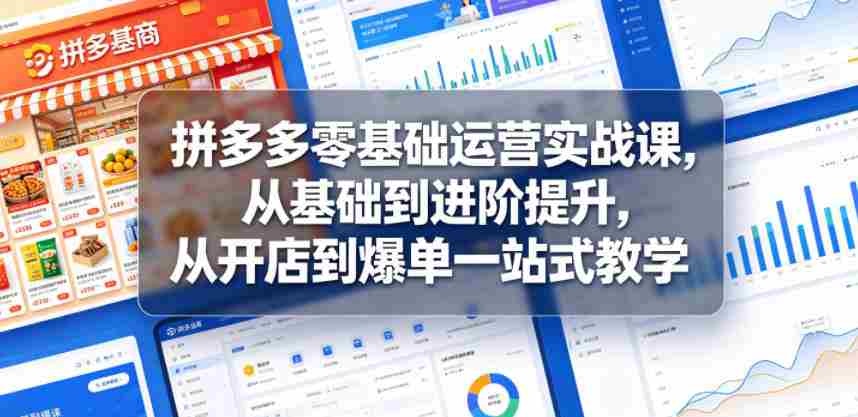 拼多多零基础运营实战课，从基础到进阶提升，从开店到爆单一站式教学-有道网创