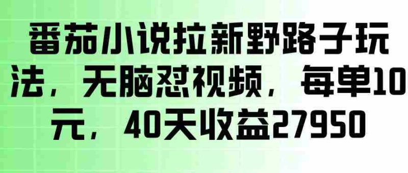 番茄小说拉新野路子玩法,无脑怼视频,玩法简单、见效快,每单10米,40天收益27950-有道网创