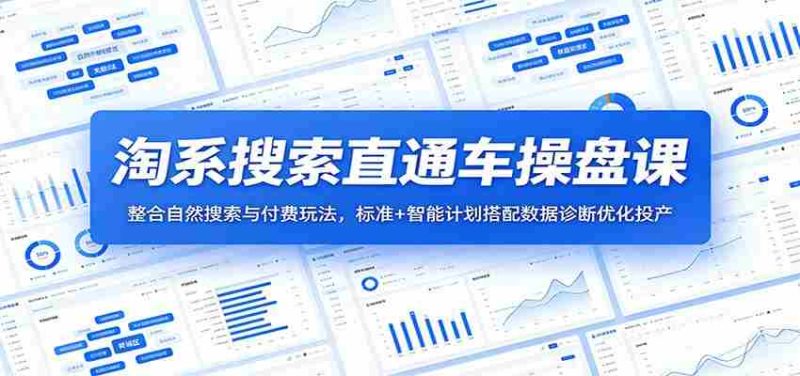 淘系搜索直通车操盘课：整合自然搜索与付费玩法，标准+智能计划搭配数据诊断优化投产-有道网创
