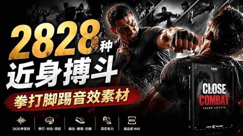 (19072期)宝藏级别音效!2828种近身搏斗拳打脚踢音效素材,全部中文分类,免解压使用 Close Combat-有道网创