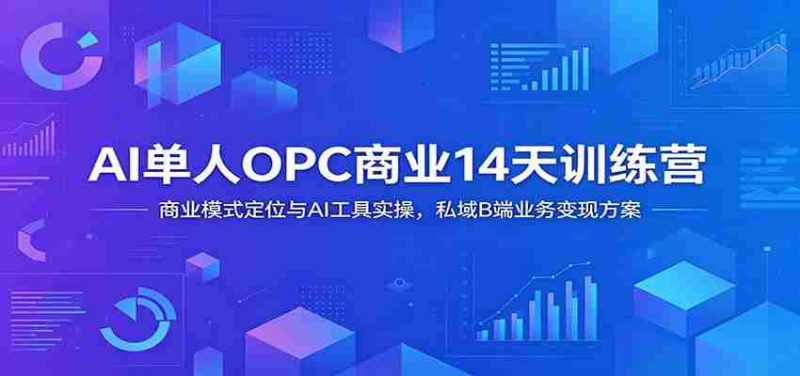 AI单人OPC商业14天训练营:商业模式定位与AI工具实操,私域B端业务变现方案-有道网创
